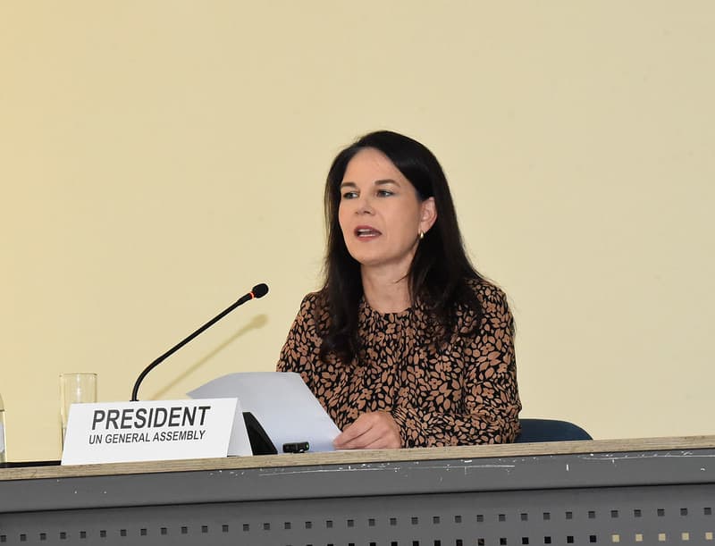 AFRICA & SECURITY COUNCIL REFORM